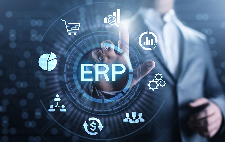 ERP System Integration | Techsol