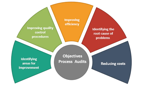 Process Audit Objectives | Techsol Life Sciences