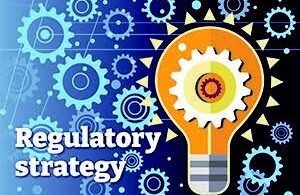 CASE STUDY ON REGULATORY STRATEGY DEVELOPMENT AND DOSSIER SUBMISSION SUPPORT